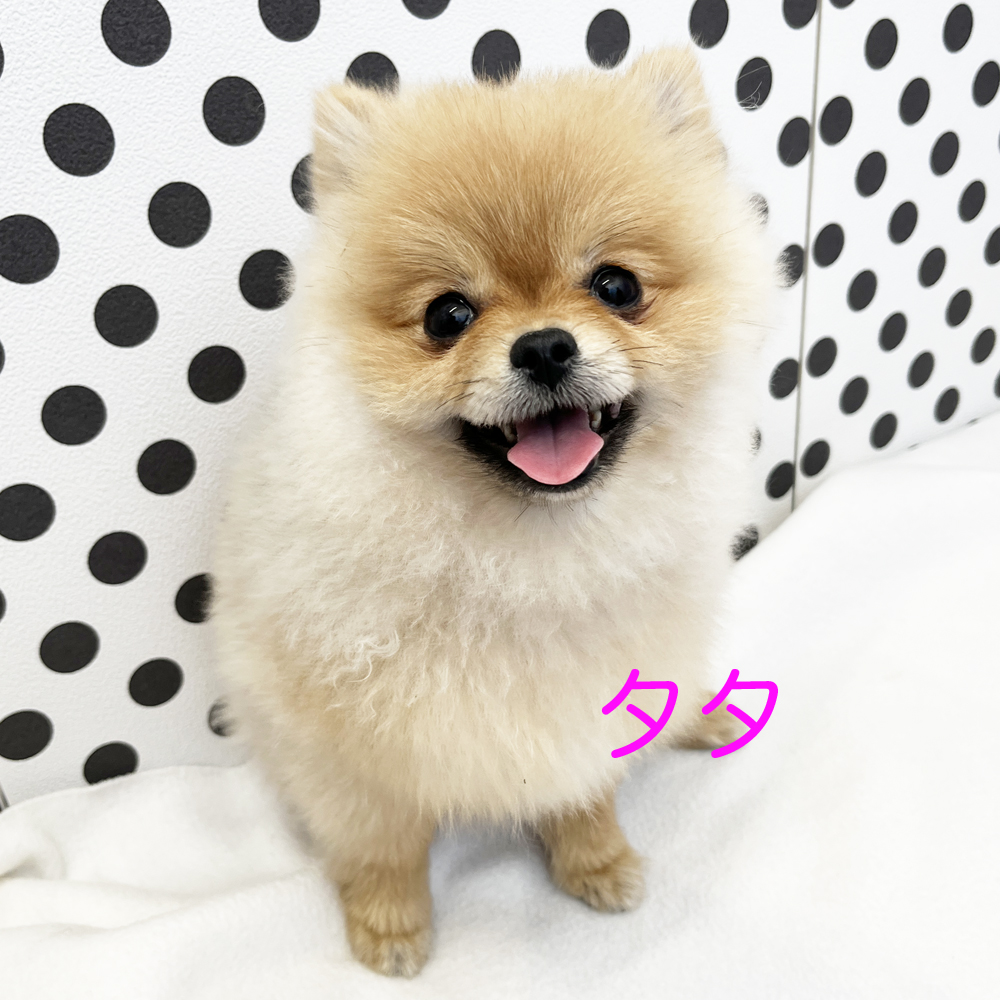 ５月・６月で１歳になりました♪